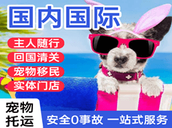 花果山机场邮寄国际宠物托运 【国